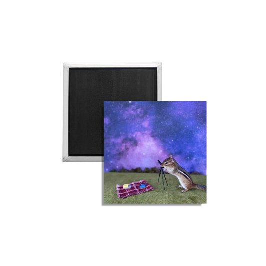 Chipmunk Stargazing Magnet Square