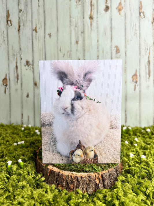 Bunny and Chicks Notecard