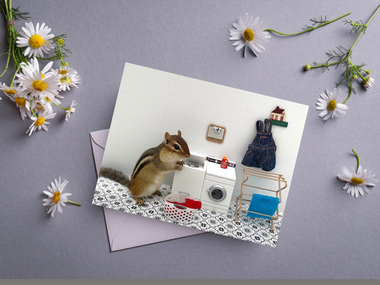 Chipmunk Laundry Notecard