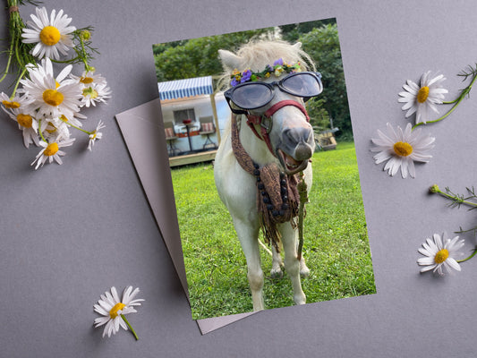 Hippie Mini Horse