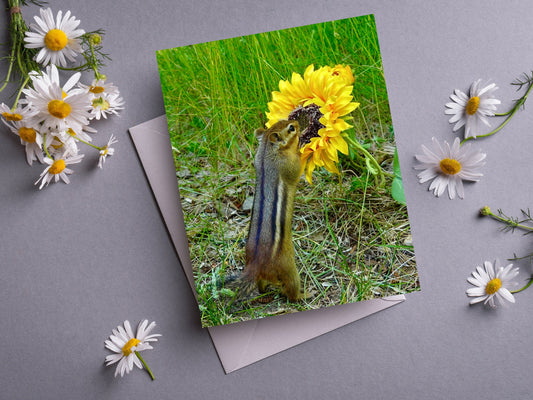 Chipmunk Sunflower Notecard